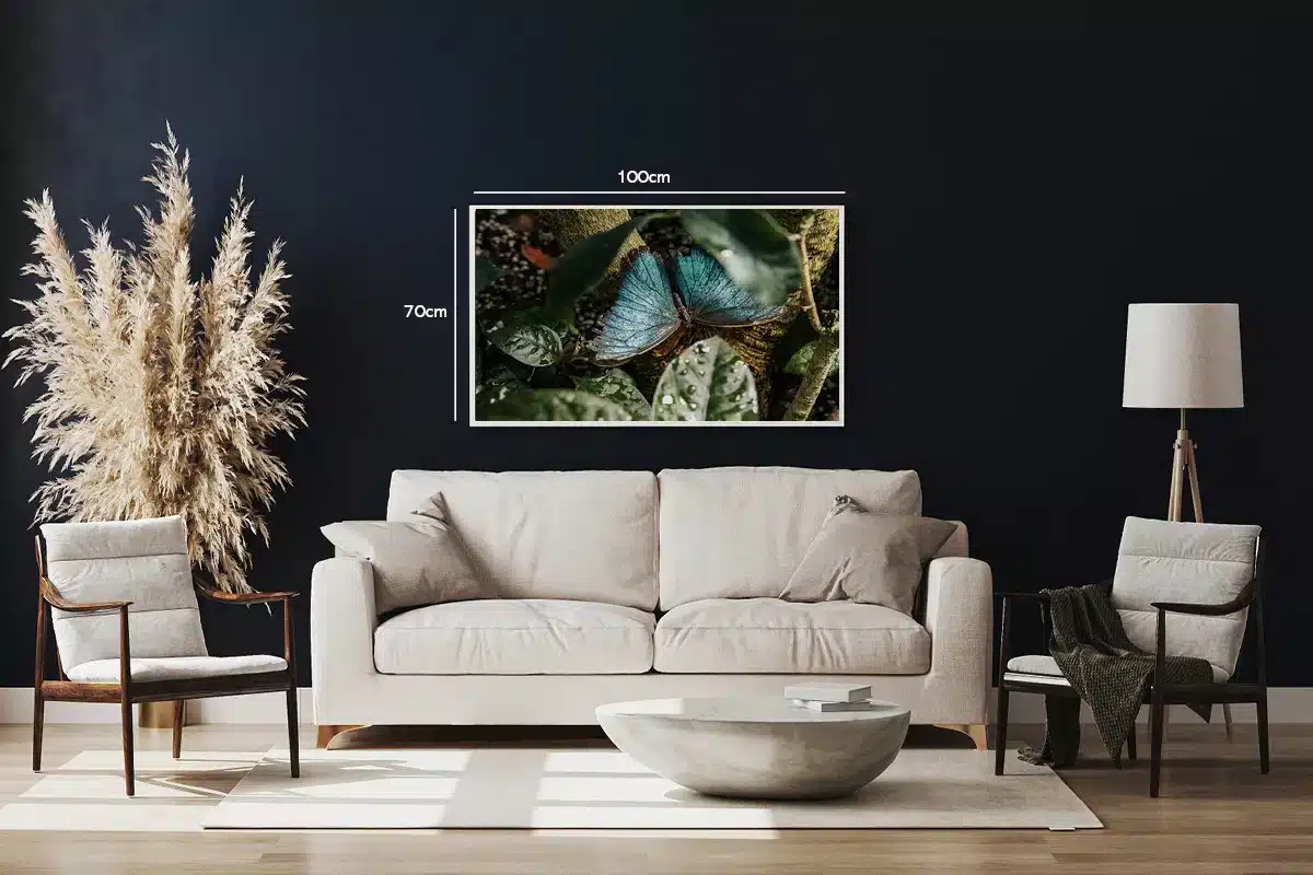 Blue Morpho Butterfly No2 Plakat