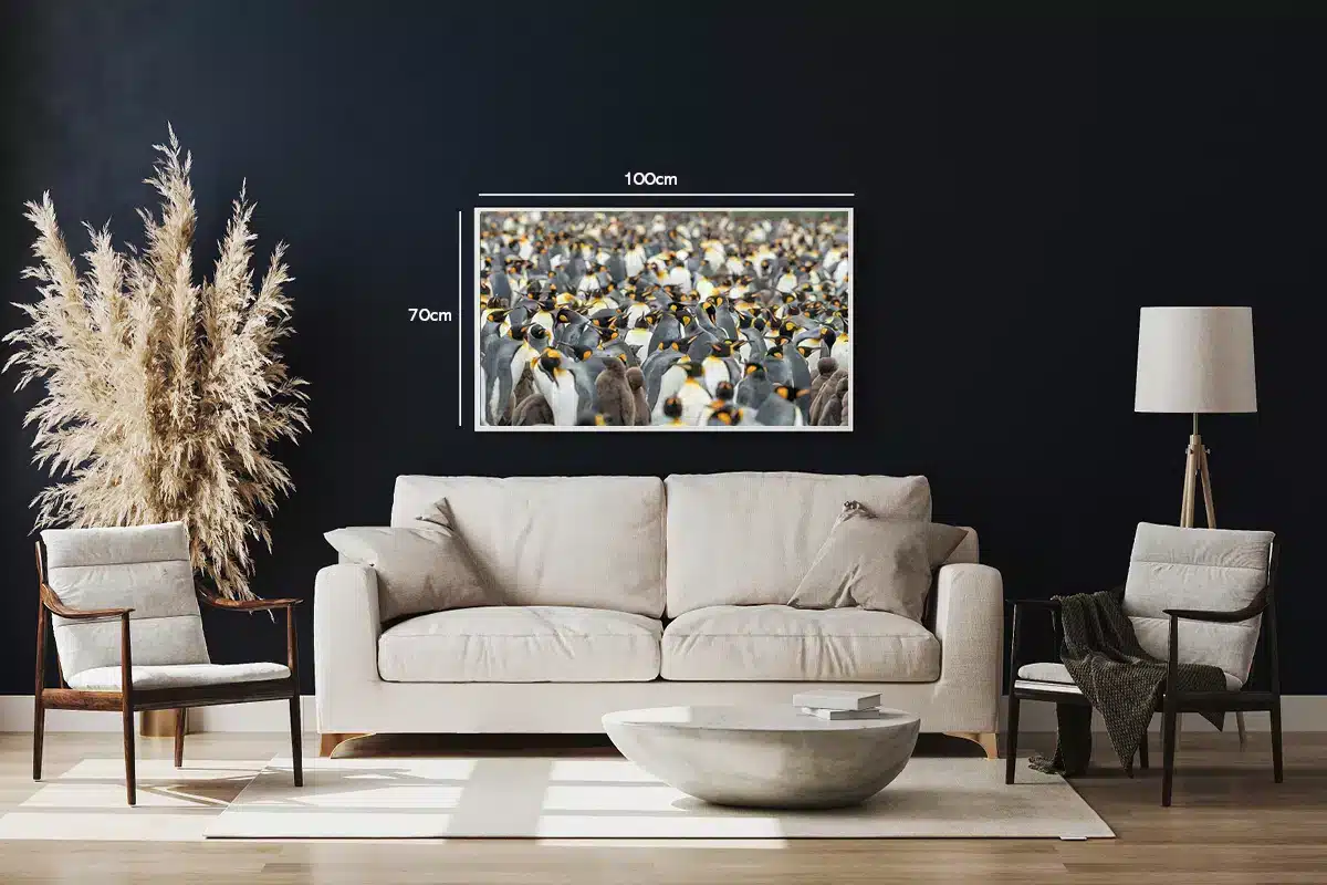 King Penguin Plakat
