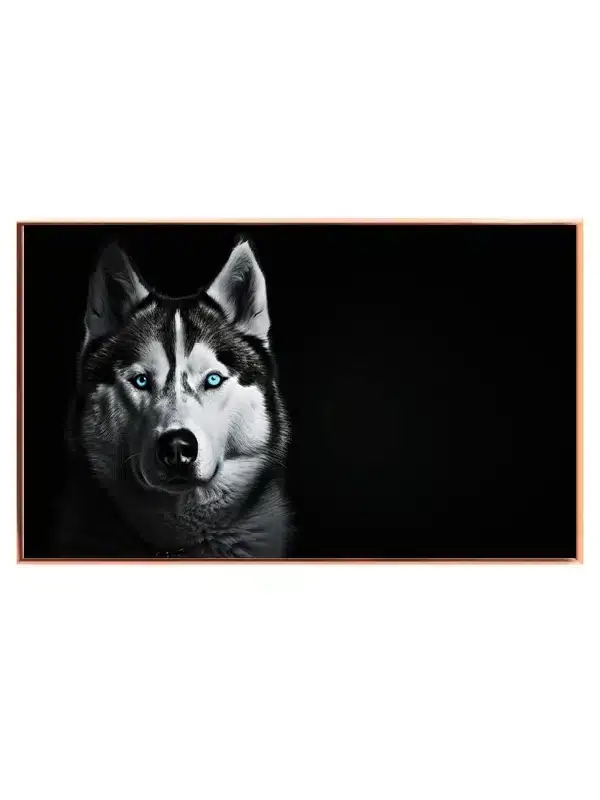 Siberian Husky No2 Plakat