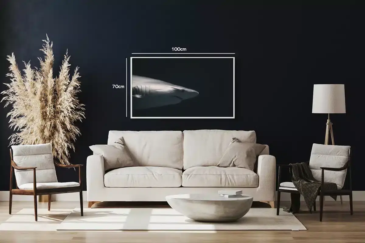 Shark Plakat