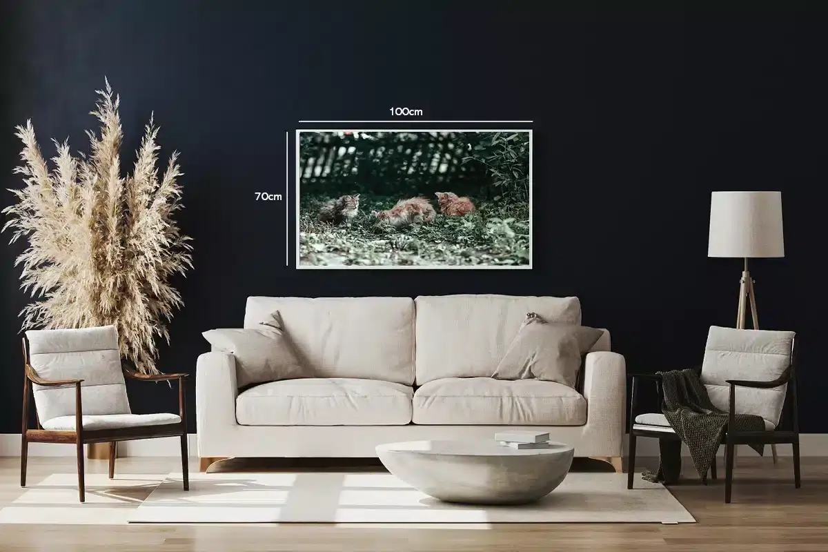 Domestic Cats Plakat