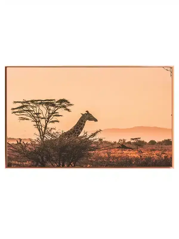 Giraffe Sunset Plakat