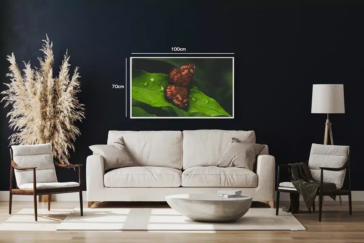 Brown Butterfly Plakat