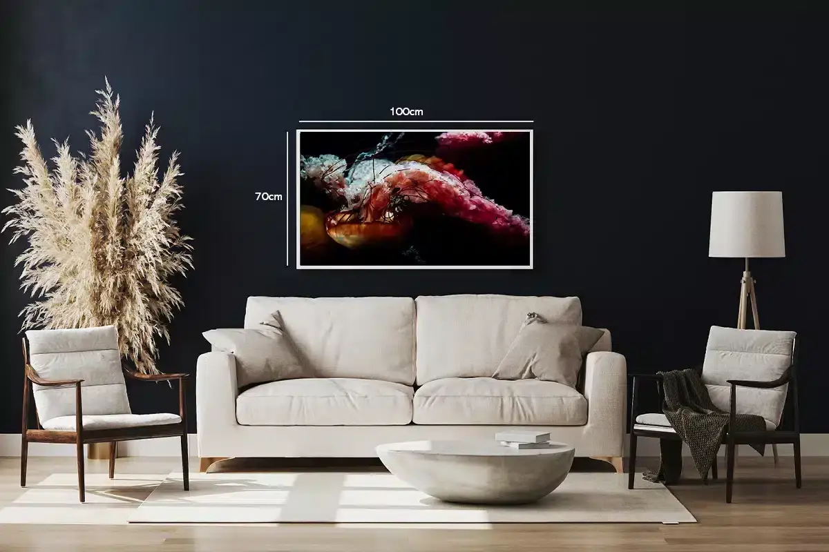 Jellyfish Plakat
