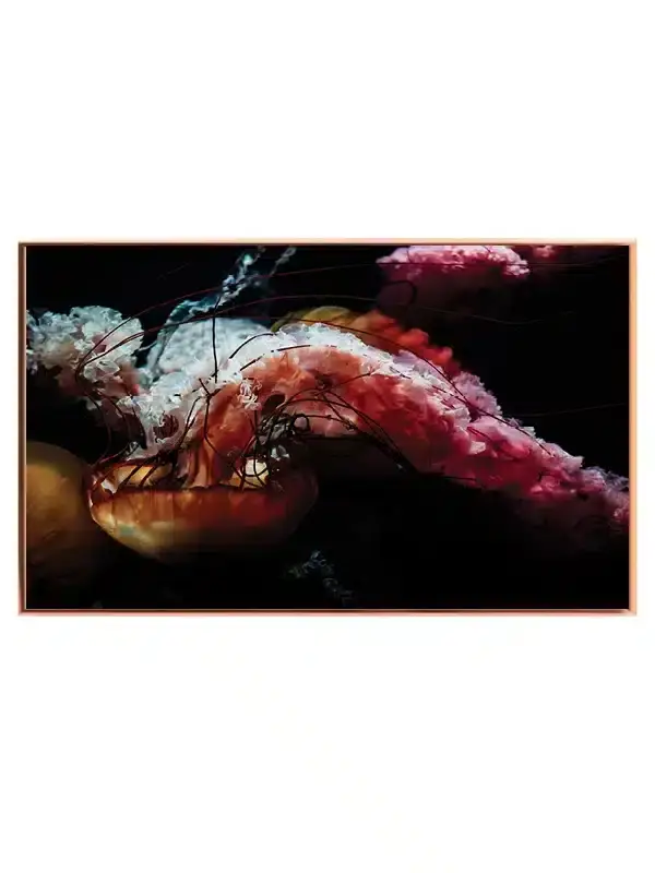Jellyfish Plakat