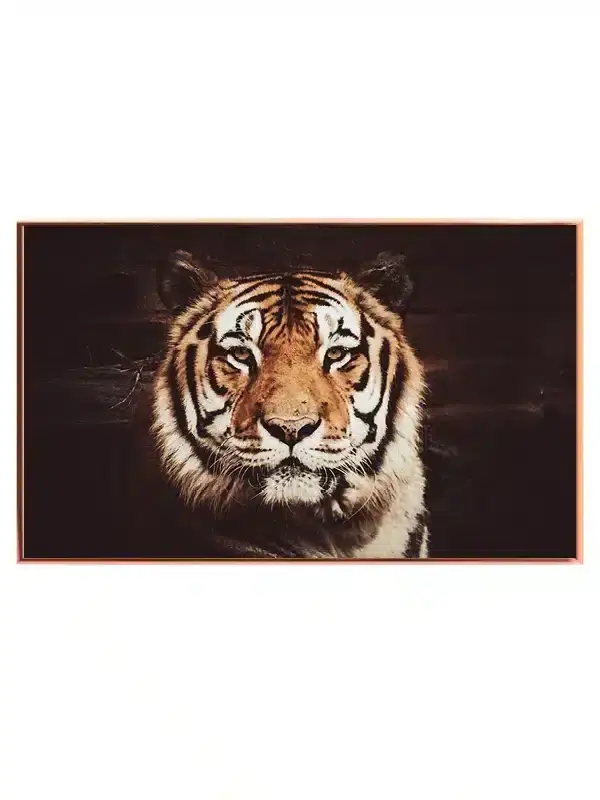 Tiger Close Up No2 Plakat