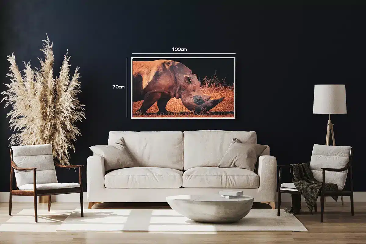 White Rhinoceros Side View Plakat