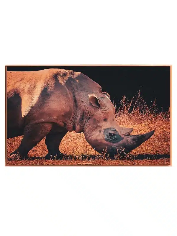White Rhinoceros Side View Plakat