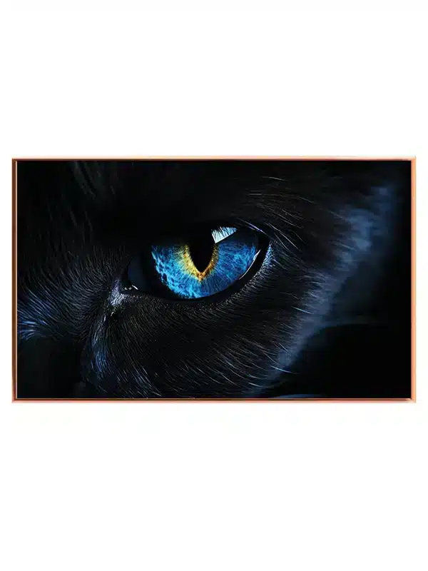 Black Panther Eye Plakat