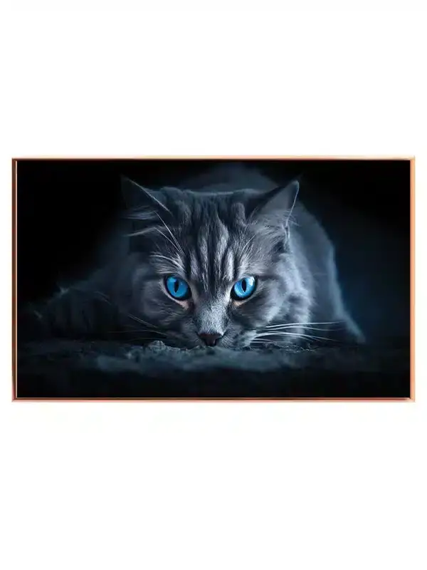 Cat Blue Plakat