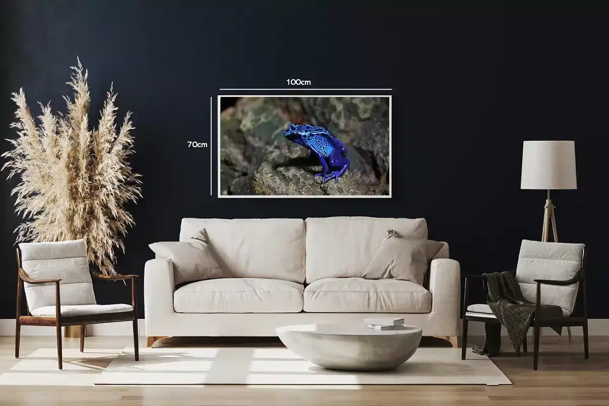 Blue Poison Dart Frog Plakat