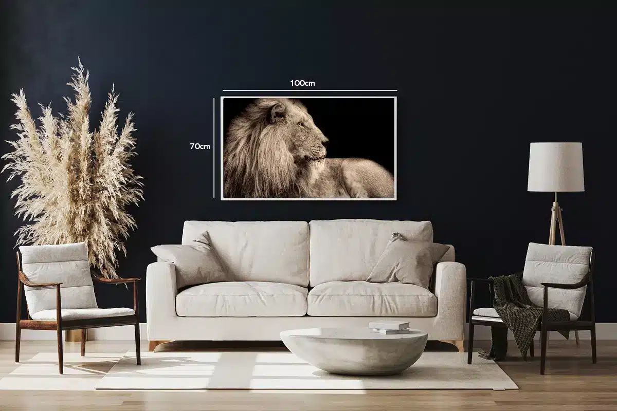 Majestic Lion I Plakat