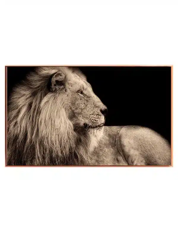 Majestic Lion I Plakat