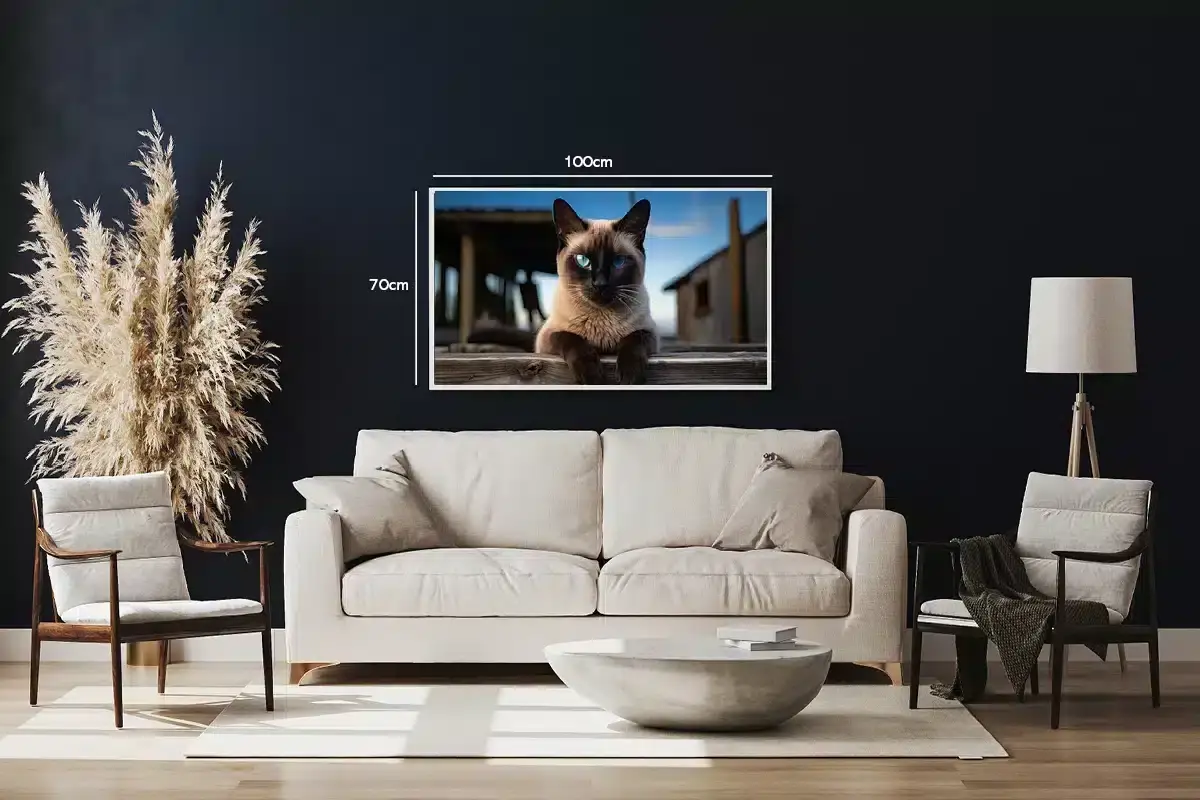 Siamese Cat Plakat