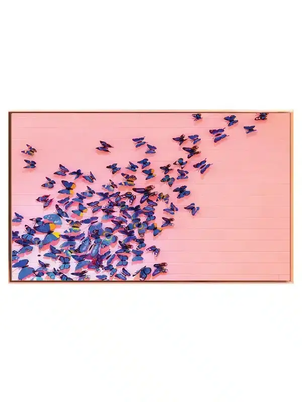 Sommerfugl Blue Morpho Butterflies Plakat