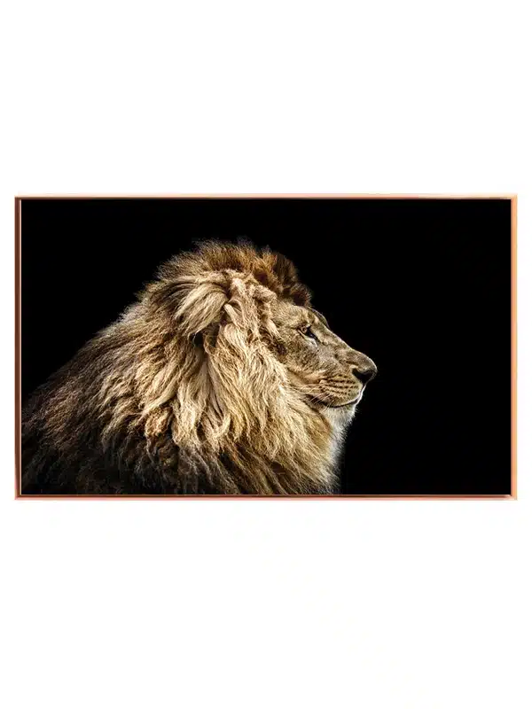 Lion Profile Black Plakat