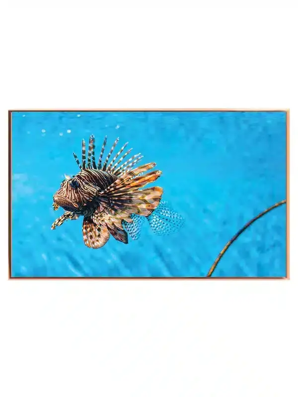 Lionfish Plakat