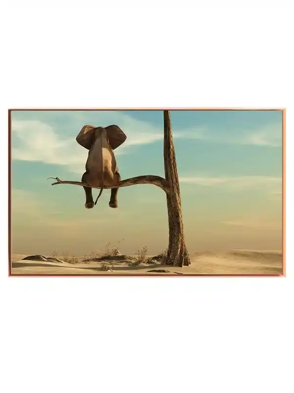 Elephant Sitting Plakat