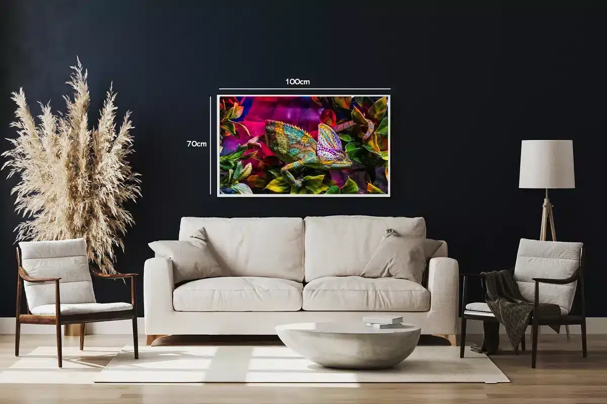 Ko Veiled Chameleon Plakat