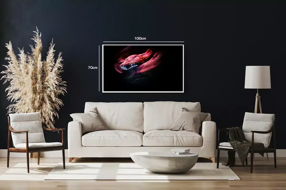 Python Snake Dark Plakat