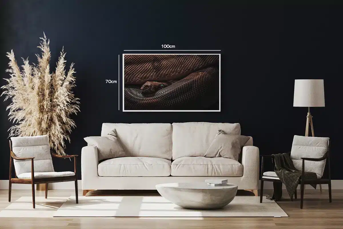 Python Snake Plakat