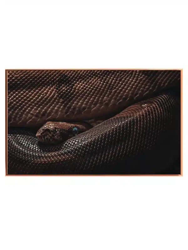 Python Snake Plakat