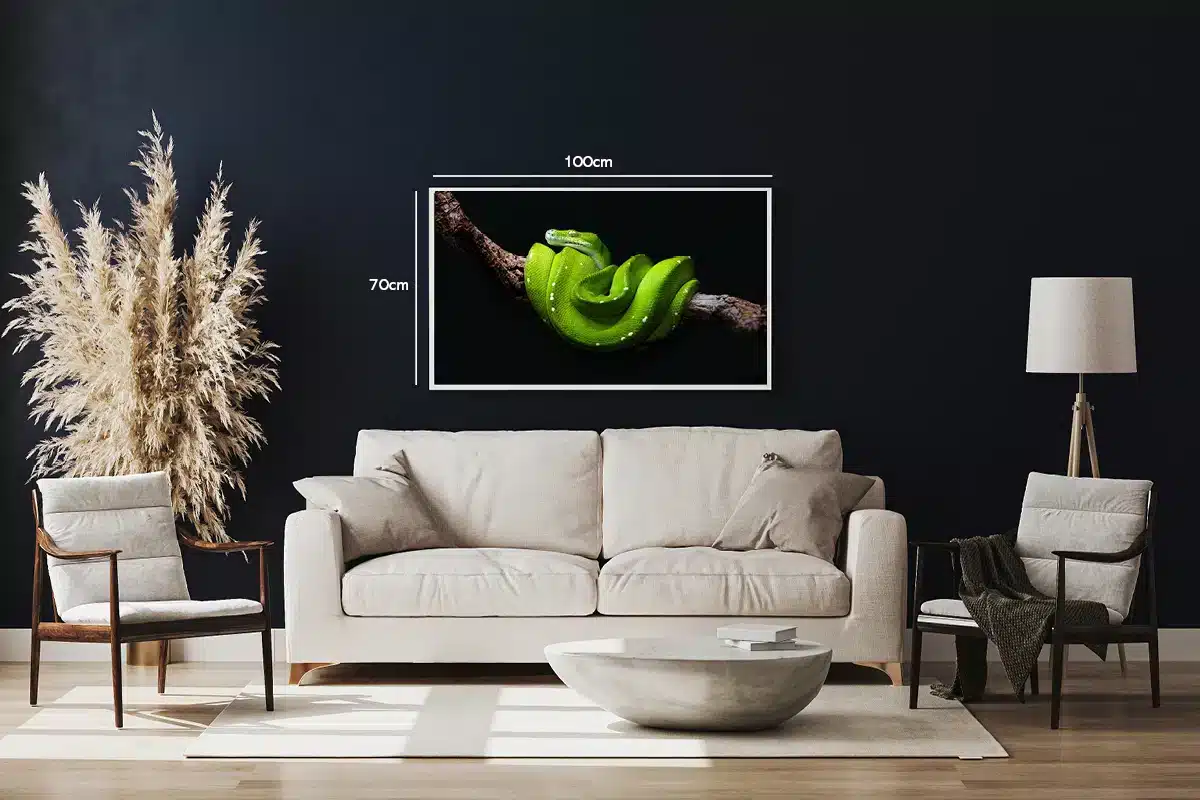 Ko Green Tree Python Plakat