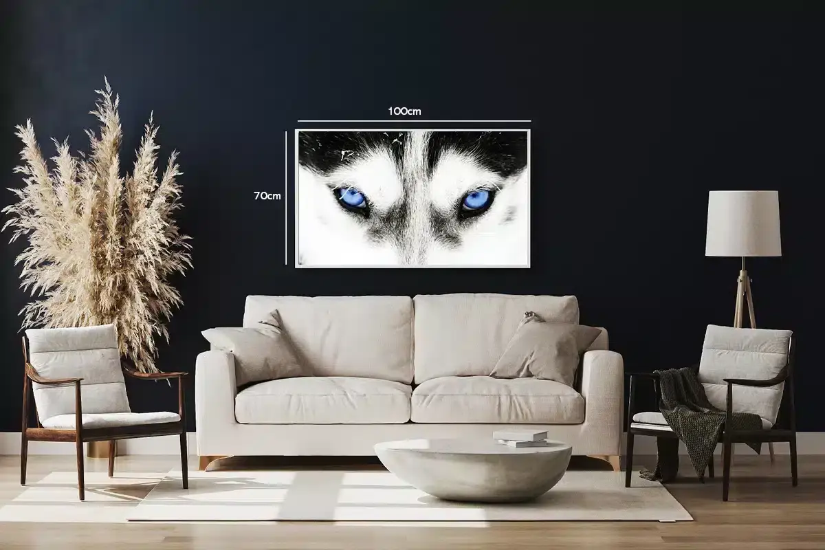 Husky Blue Eyes Plakat