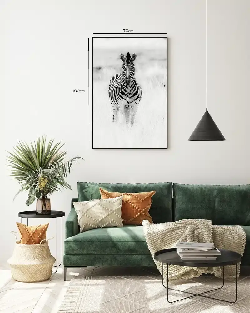Zebra Standing Plakat