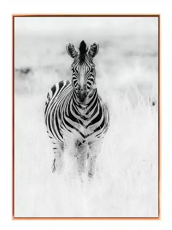 Zebra Standing Plakat