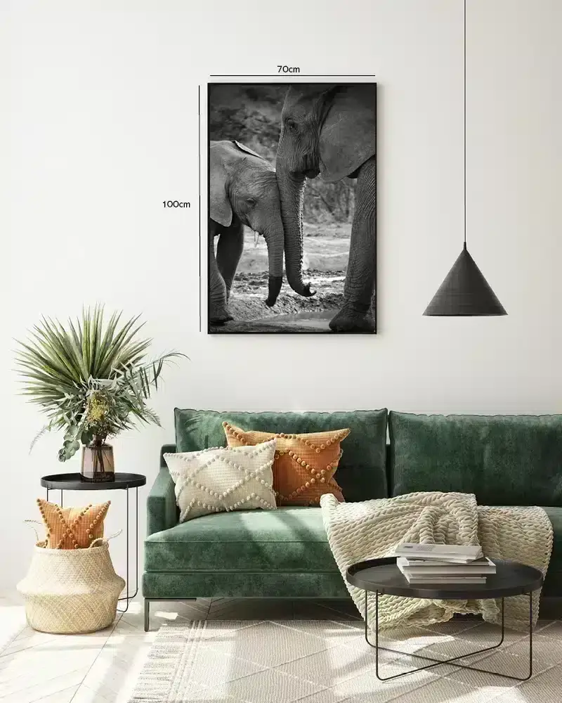 African Elephant Plakat