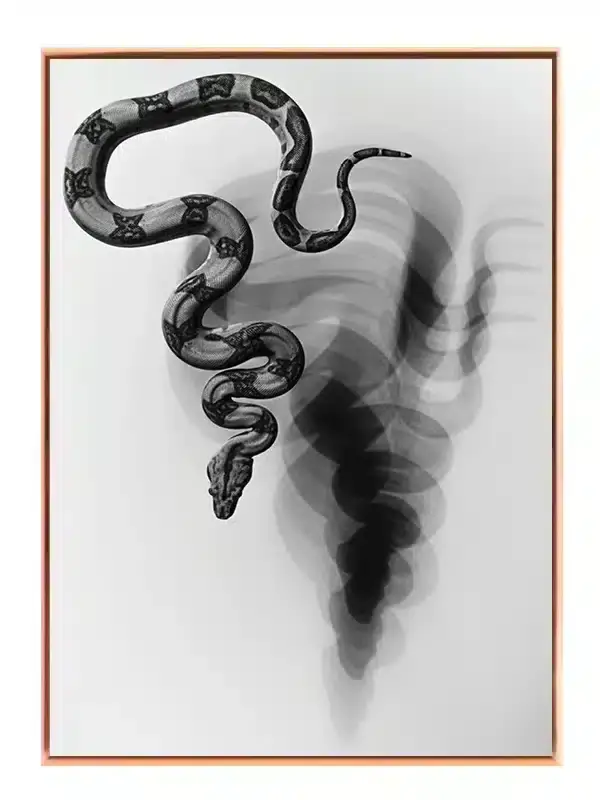 Python Snake Plakat