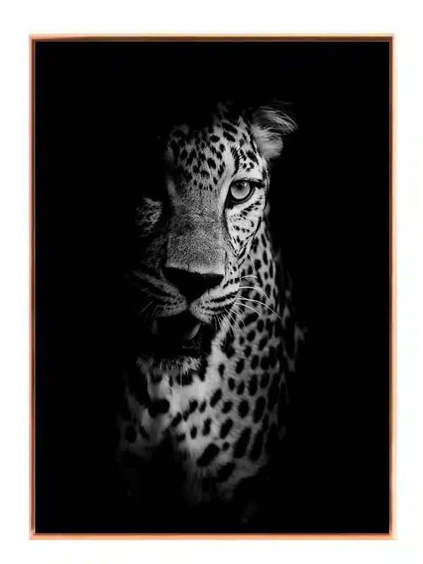 Leopard Portrait Plakat