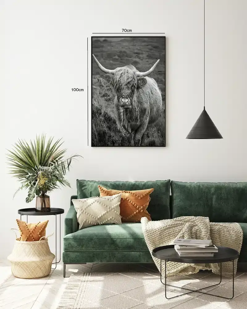 Highland Cow Plakat