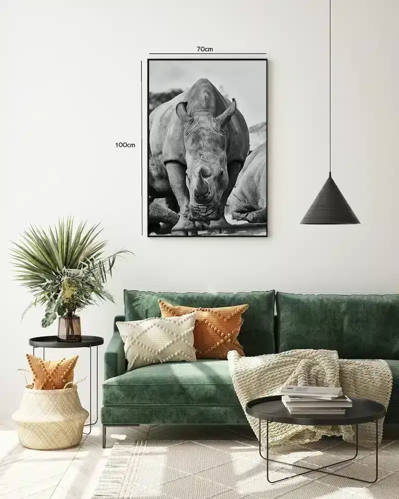White Rhinoceros Plakat