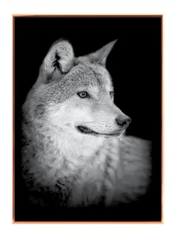 Wolf Portrait Plakat