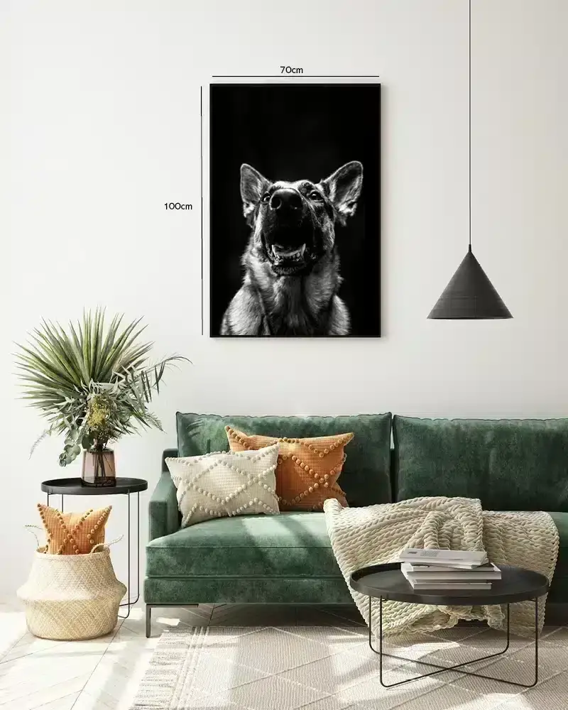 German Shepherd Plakat