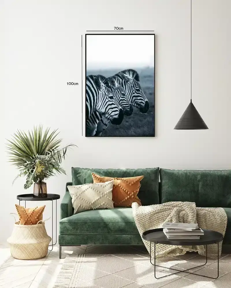 Zebra Trio Plakat