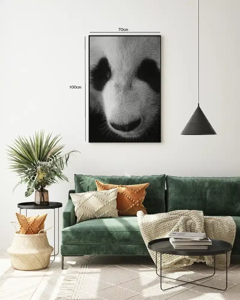 Giant Panda Plakat