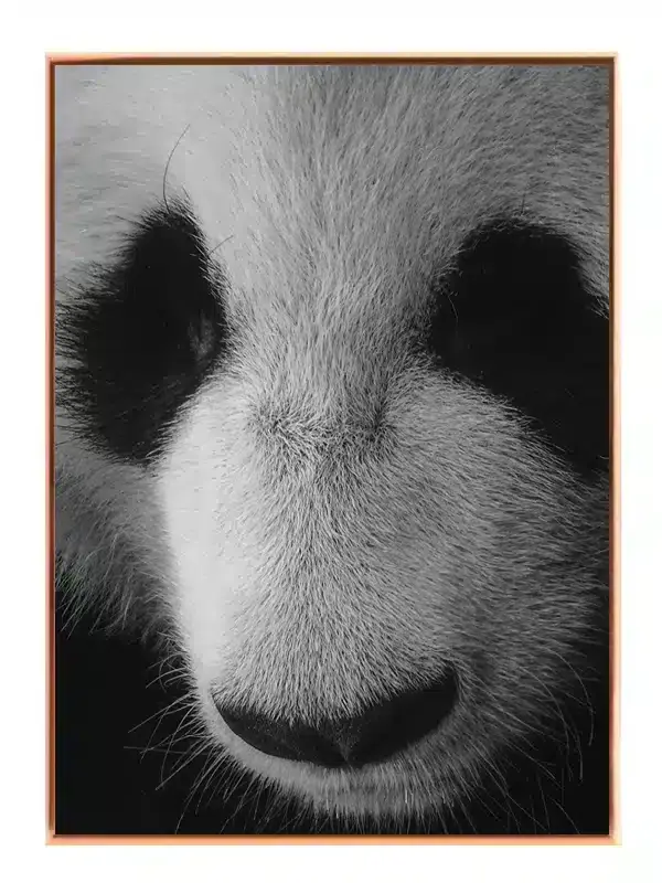 Giant Panda Plakat