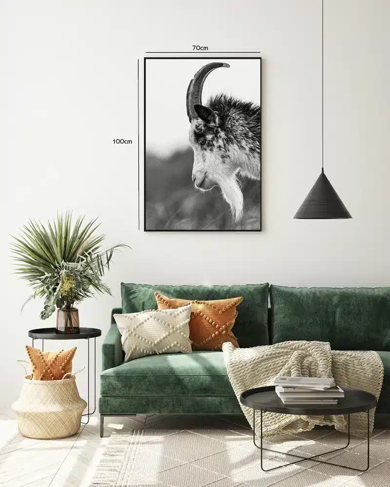 Mountain Goat Plakat