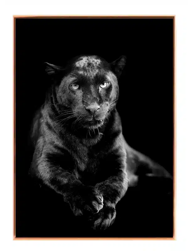 Black Panther No2 Plakat