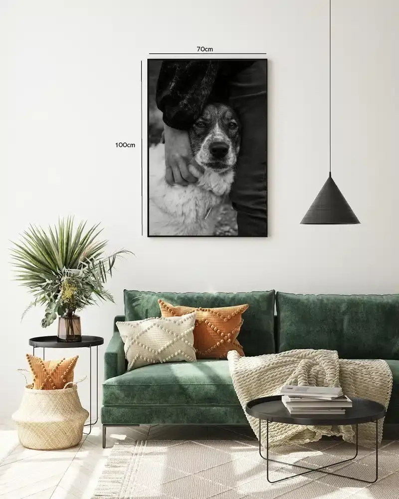Mixed Breed Dog Plakat