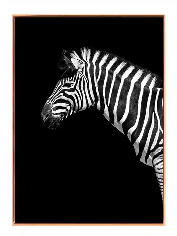 Zebra Profile Plakat