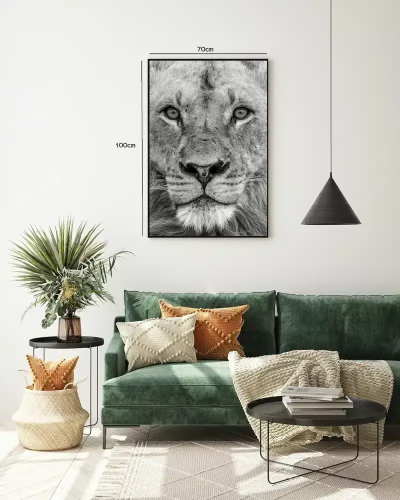 Lion Face I Plakat
