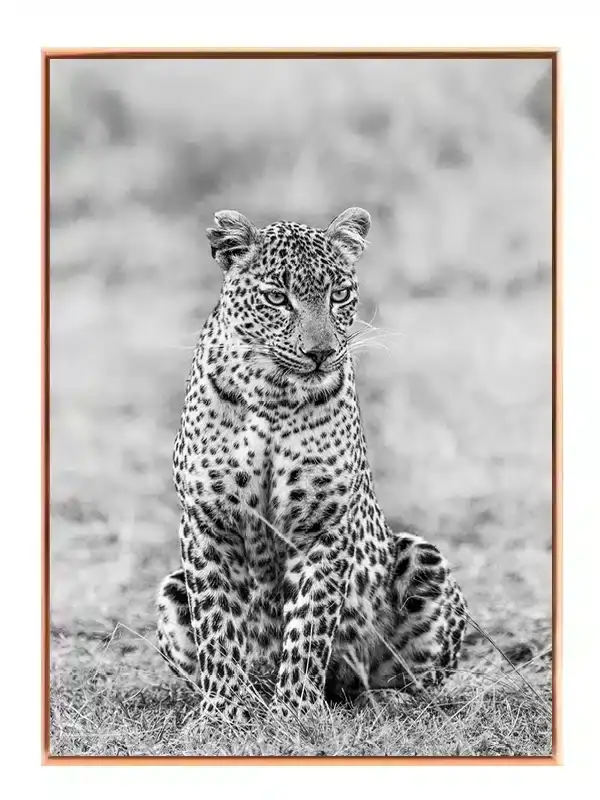 Leopard Sitting Plakat