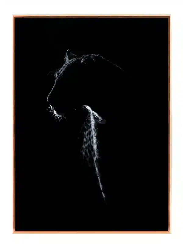 Leopard Silhouette Plakat