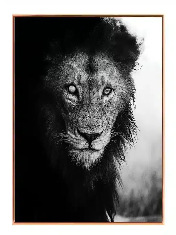 Blind Lion Plakat