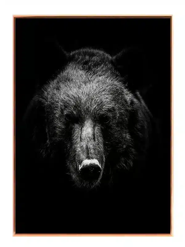 Brown Bear No2 Plakat
