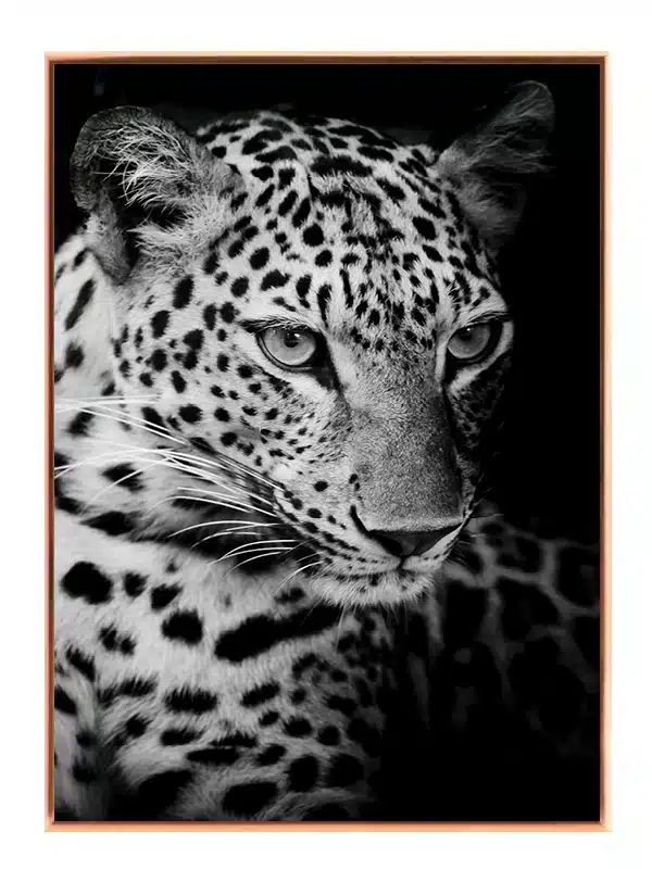 Leopard Close Up Plakat